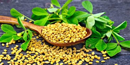 Fenugreek seeds in a spoon and on a table with green leaves against a black wooden board